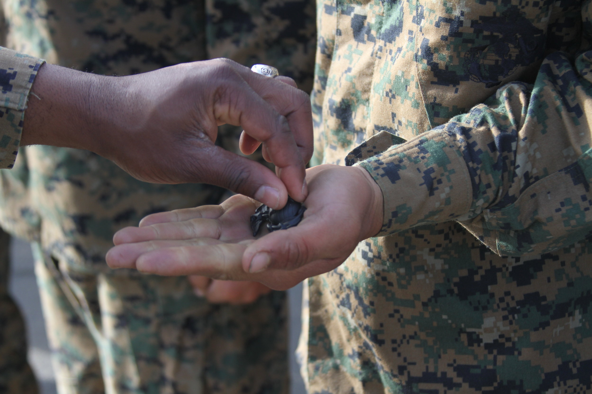 A new Marine from Company G holds the eagle, globe and anchor during an emblem ceremony at Weapons Field Training Battalion Nov. 10. During the emblem ceremony, 583 recruits received the coveted emblem from their drill instructors and were called ‘Marines’ for the first time after completing the final test of recruit training, the Crucible.